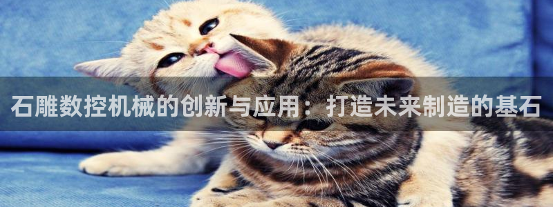 天辰娱乐1980