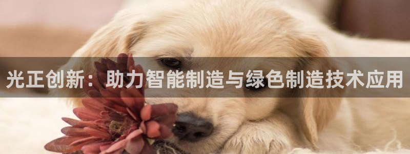 天辰娱乐线路
