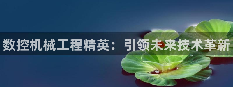 南京天辰娱乐