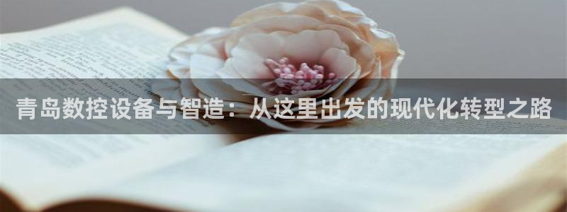 南京天辰娱乐