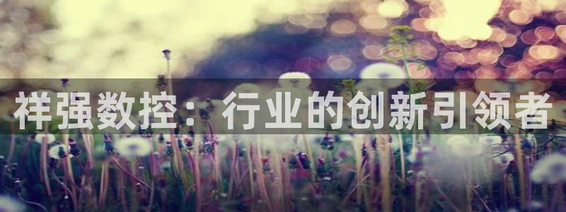 天辰娱乐60447