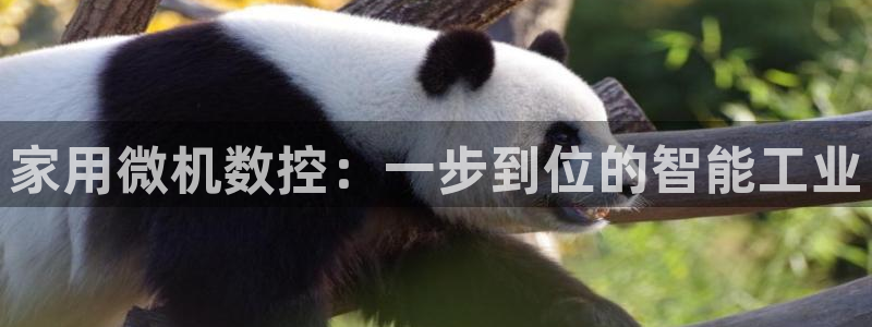 天辰娱乐解封