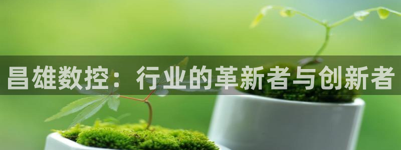 天辰娱乐代理