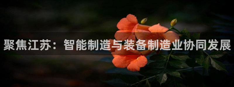 天辰娱乐分红