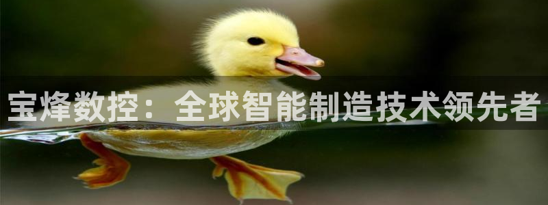 天辰娱乐游客