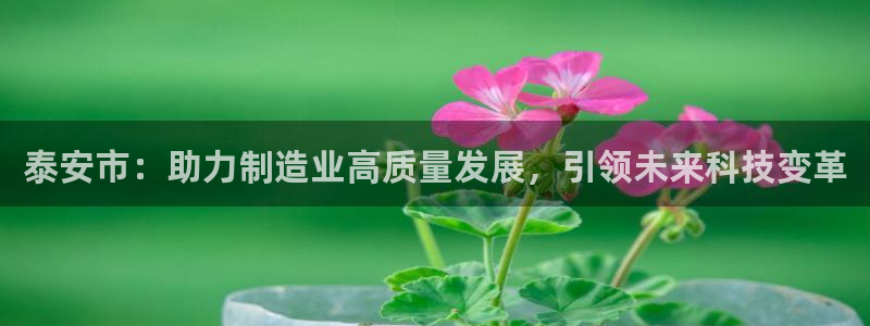 天辰娱乐在线登录注册