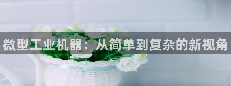 天辰娱乐会所