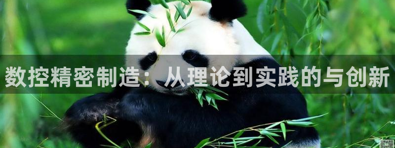 天辰娱乐会员