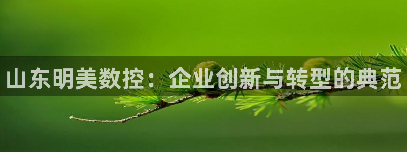 天辰娱乐白屏