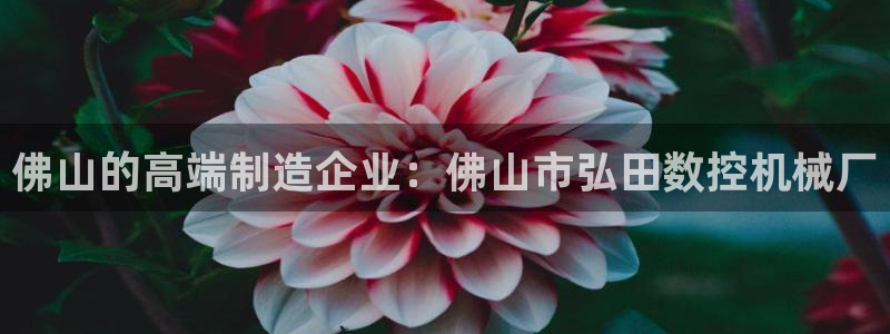 天辰娱乐解封