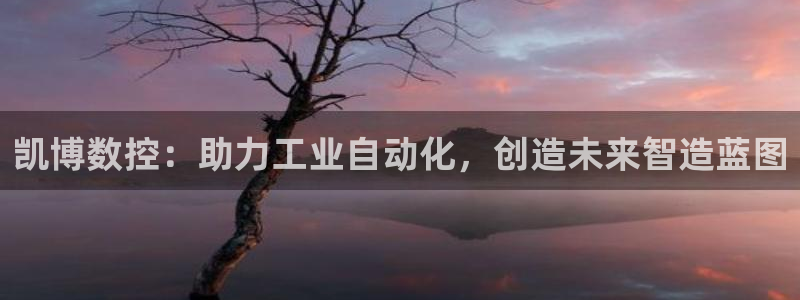 天辰娱乐-18113