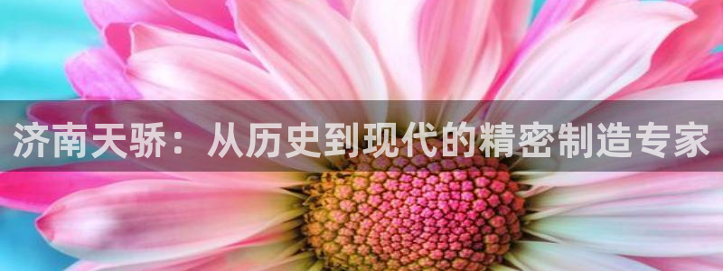 天辰娱乐维护