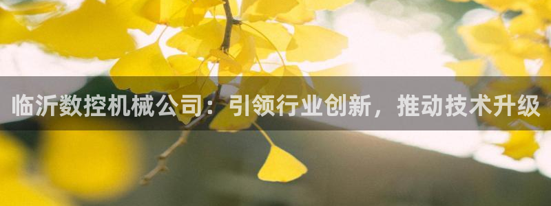 天辰娱乐新