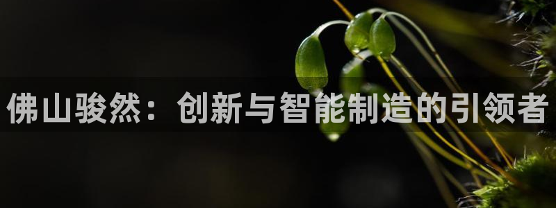 天辰娱乐2