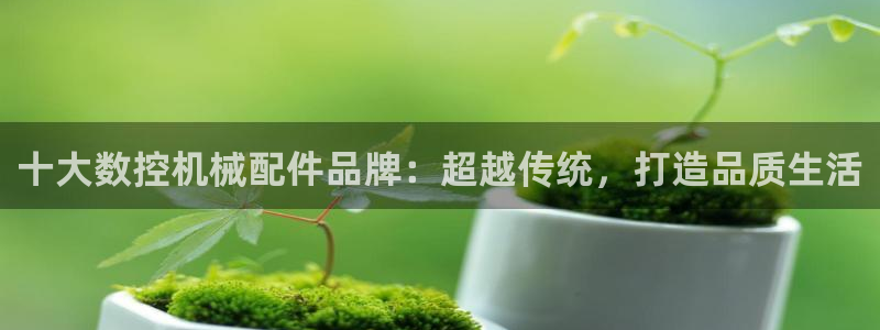 天辰娱乐分红