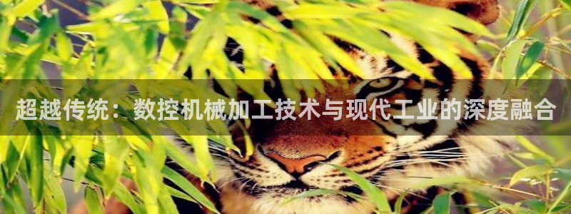 天辰娱乐675138