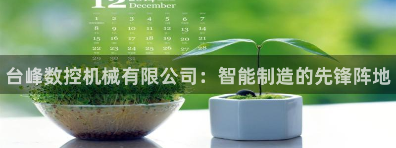 天辰 娱乐 注册：台峰数控机械有限公司：智能制造的先锋阵地