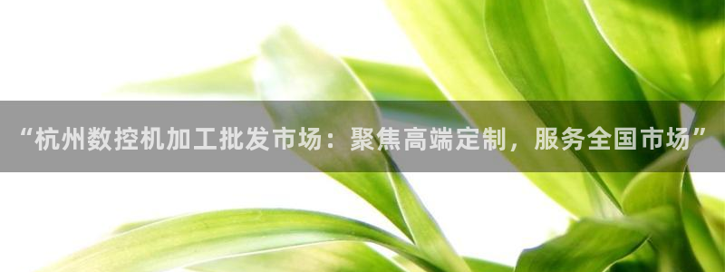 天辰娱乐分红