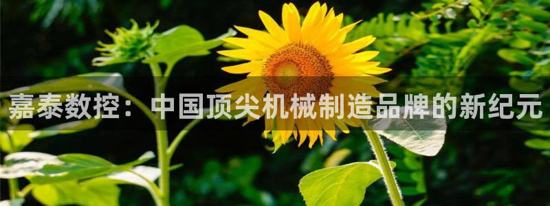 天辰团队贝高娱乐