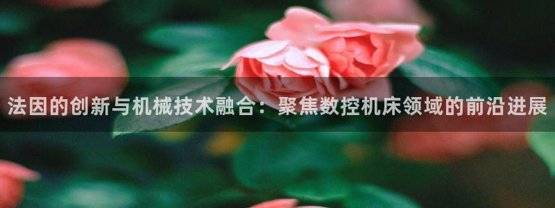 天辰娱乐赌博