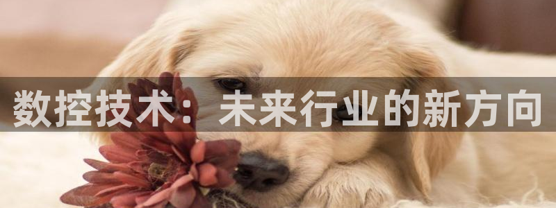 天辰娱乐 44516：数控技术：未来行业的新方向