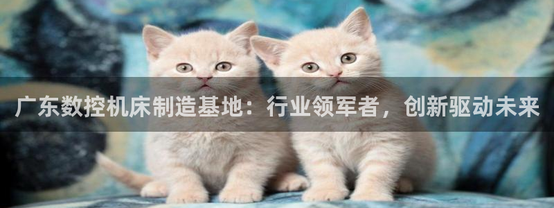 天辰娱乐登录：广东数控机床制造基地：行业领军者，创新驱动未来