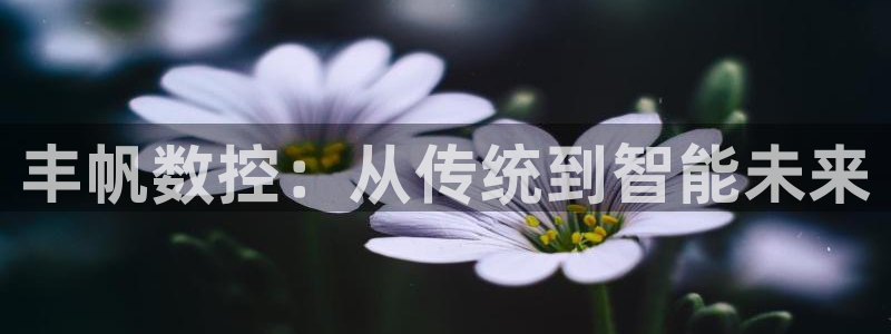 天辰娱乐开户
