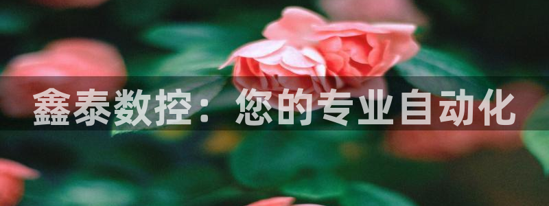 天辰天辰娱乐