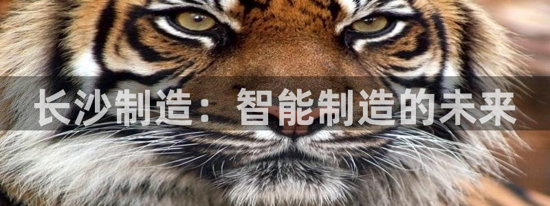天辰娱乐扣钱：长沙制造：智能制造的未来