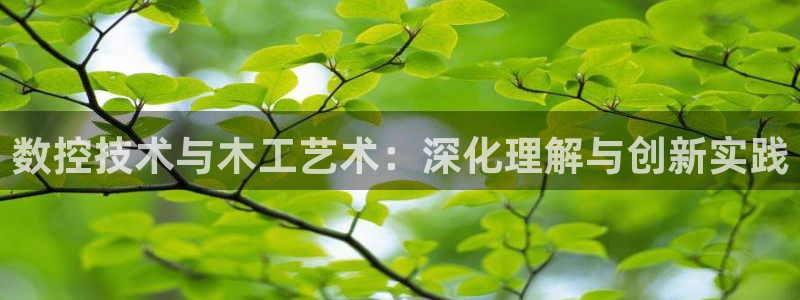 天辰娱乐指定