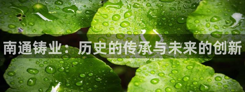 天辰娱乐平台app下载