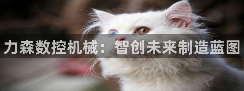 菲律宾天辰娱乐