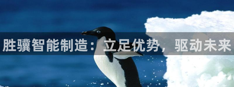 天辰娱乐22650