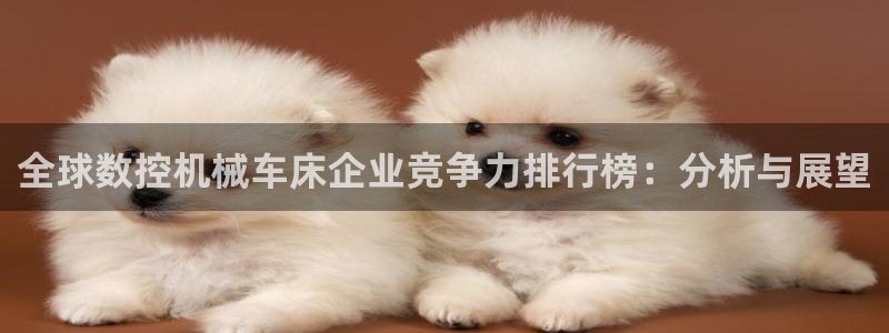 天辰国际娱乐