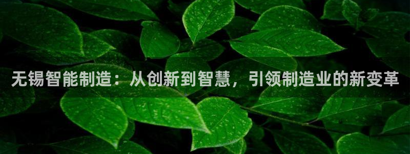 天辰娱乐平台测速