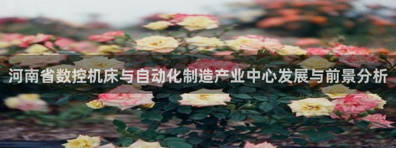 天辰娱乐内部