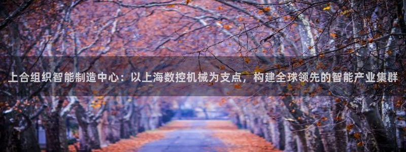 天辰娱乐60447