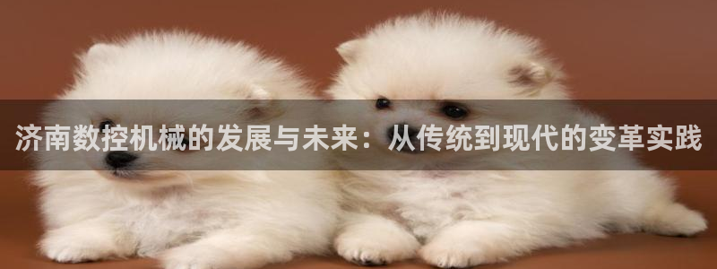 天辰娱乐老板