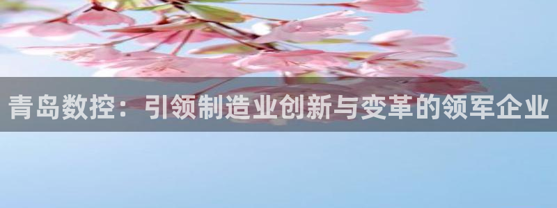 天辰团队贝高娱乐