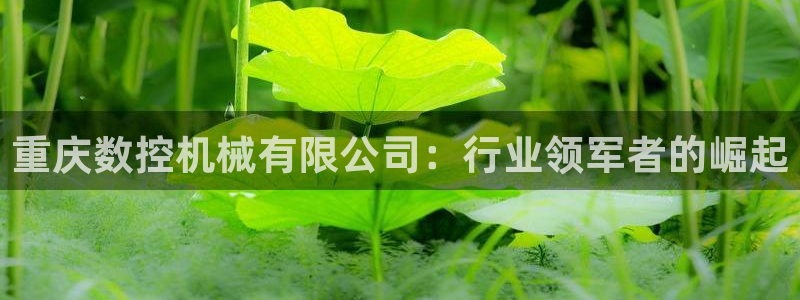 天辰娱乐61116