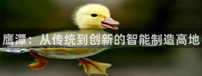 天辰娱乐登陆平台