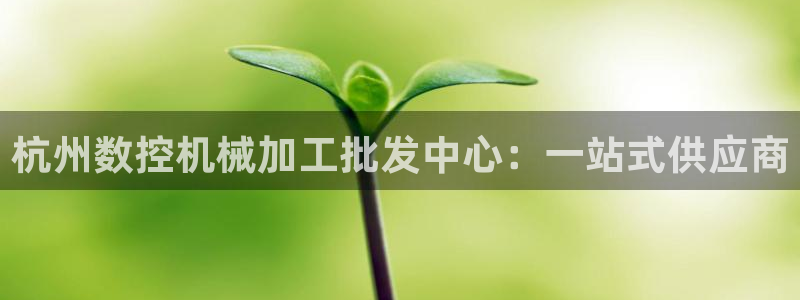 天辰娱乐论坛