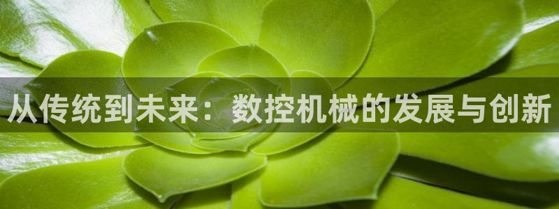 娱乐ktv天辰