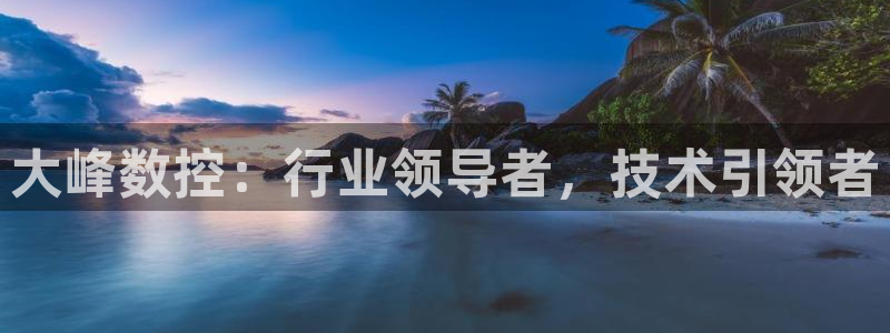 天辰娱乐总管年薪