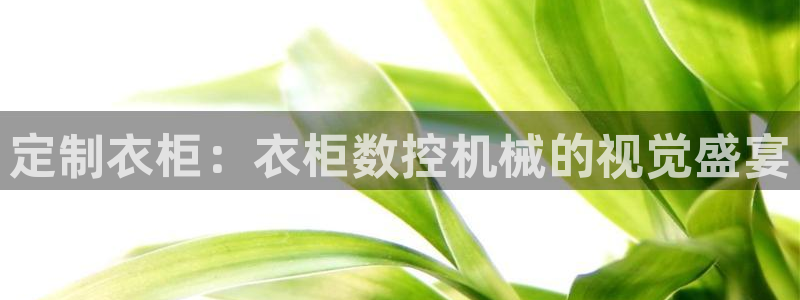 天辰娱乐视频