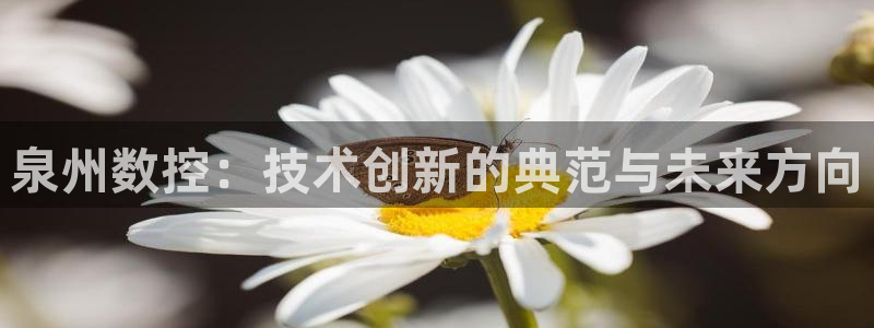 天辰娱乐代理