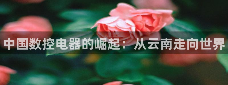 天辰娱乐 主管