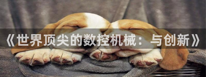天辰娱乐直属
