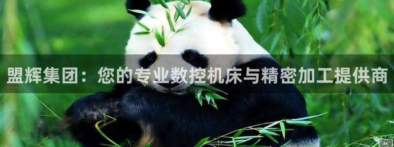 天辰娱乐测试
