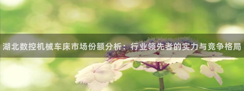 天辰娱乐文案